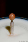 Strawberry Juice Droplet In Milk A8V9079